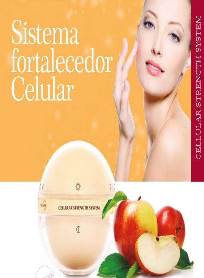 Terramar - Cellular Strength System (Day Concentrate and Night Complex) - Image 2